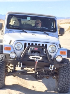 Gus riding shotgun in the desert.