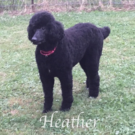 Heather Oct. 2019