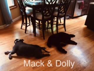 Mack & Dolly 2